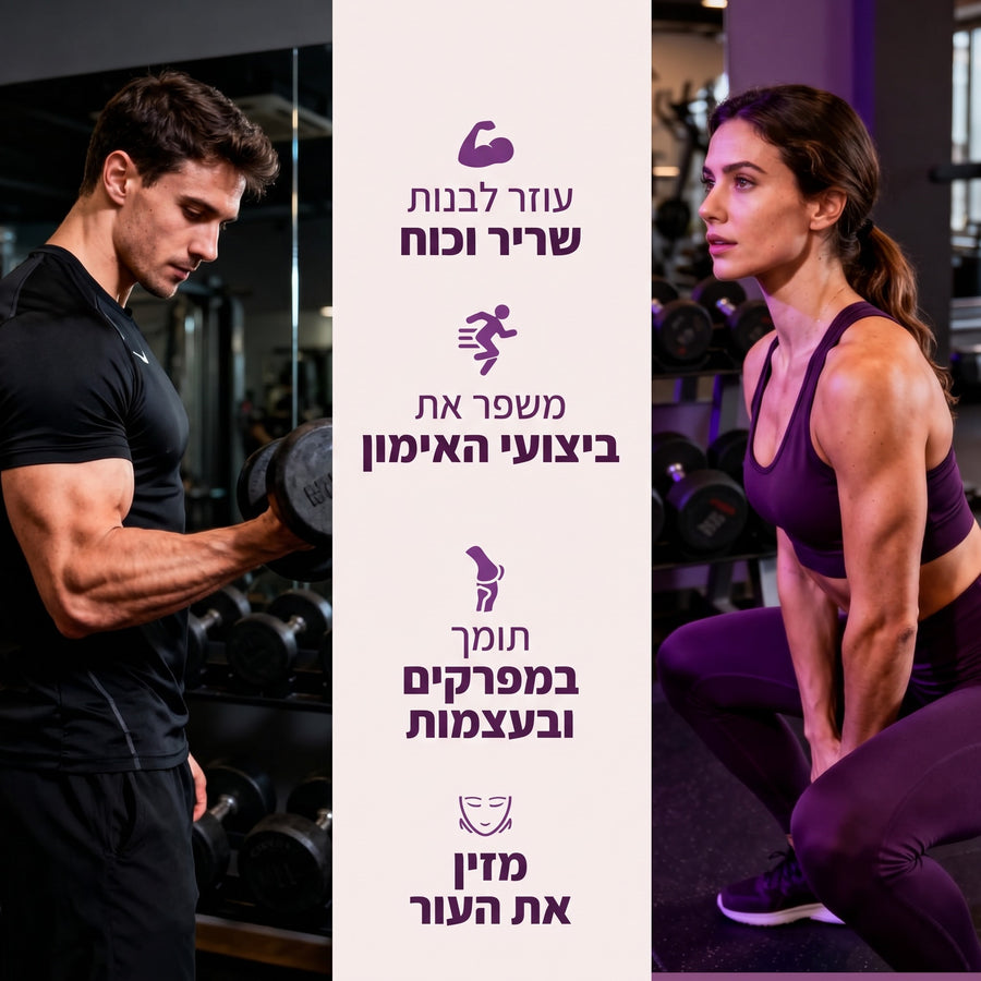 גומי חלבון של Groomi: שריר ביצועים מפרקים ועור